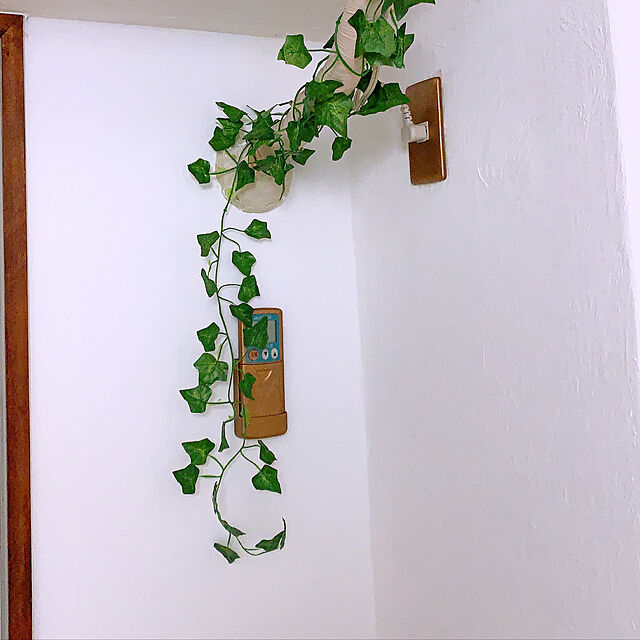 フェイクグリーン 壁掛け アイビー 藤 12本入り 人工観葉植物 インテリア グリーン 植物 吊りのレビュー クチコミとして参考になる投稿5枚 Roomclip Item