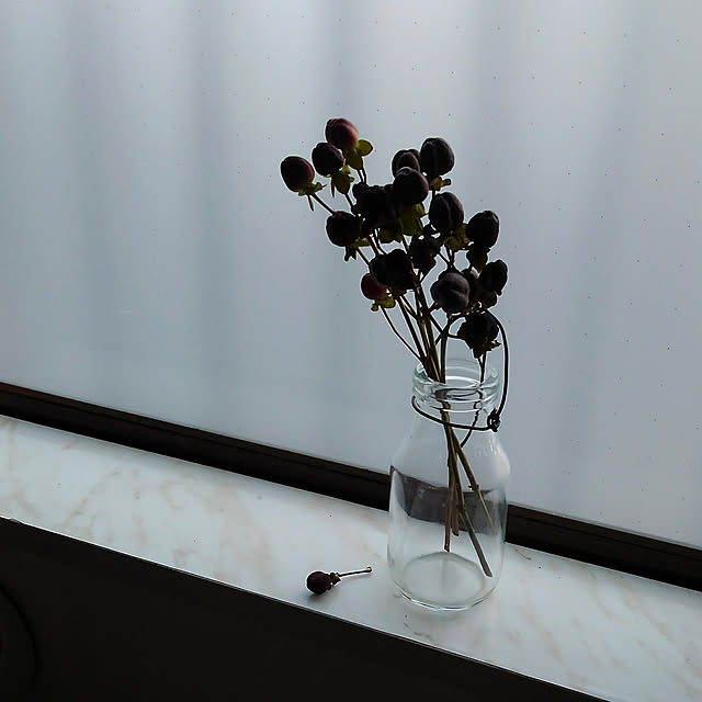 写真付きレビュー 東京堂 ヒペリカム レッド 大地農園 プリザーブドフラワー ドライフラワー シルクフラワー 花材 の通販商品 口コミ情報 Roomclipショッピング