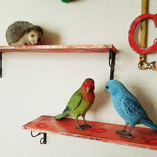 エントリーでp10倍 バーディビル Birdie Bill Parakeet コザクラインコ Rosy Faced Love Bird マメルリハ Pacific Parrotiletは完売です 小鳥 インコ クリップホルダー オブジェ リアル メッセージバード バーディービル バードビル Magnetのレビュー クチコミ
