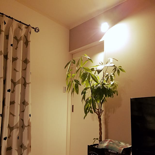 オーダーカーテン【幅〜100cm×高〜210cm×1枚】モダンな花柄でオシャレな空間に。2級遮光洗濯可共布タッセル付