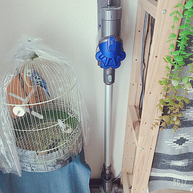 Dyson V6 Slim Origin Hepa Sv07splのレビュー クチコミとして参考になる投稿3枚 Roomclip Item