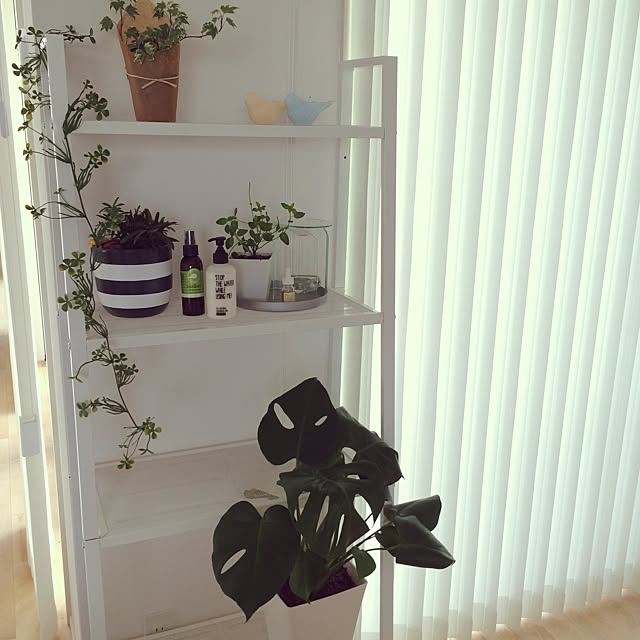 棚 Ikea 観葉植物 モンステラ フェイクグリーン などのインテリア実例 14 06 23 21 24 03 Roomclip ルームクリップ