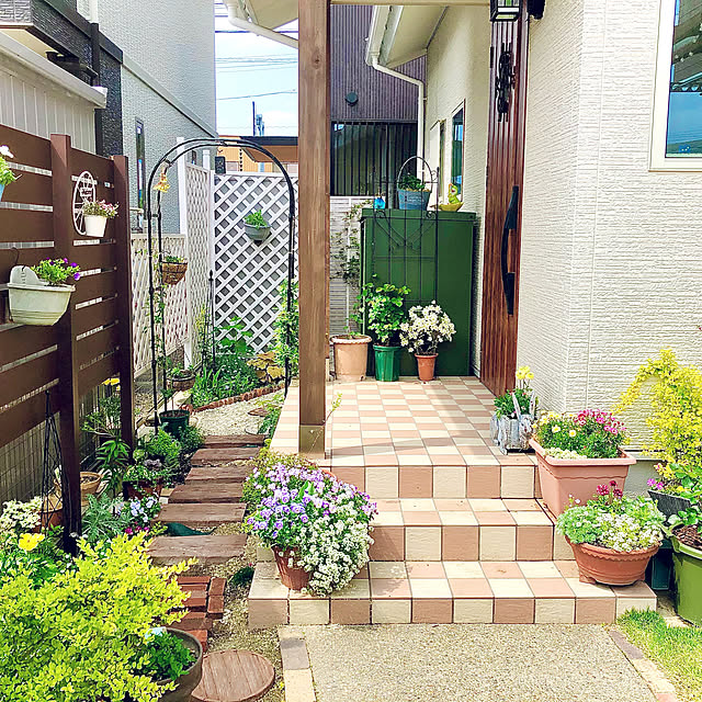 写真付きレビュー アガパンサス 白花苗 広葉大型 5号 E9 の通販商品 口コミ情報 Roomclipショッピング