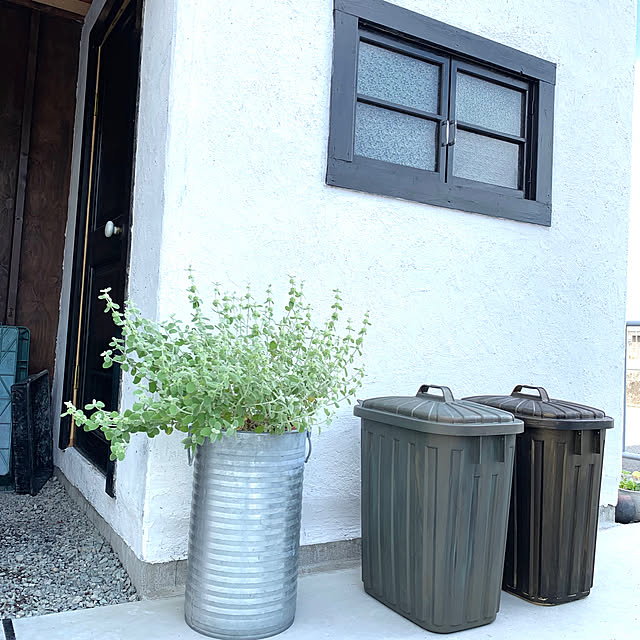 スパイス ポイント2倍 Palexpail ペールペール ゴミ箱 ダストボックス オシャレ ペールカラー 分別 のレビュー 口コミとして参考になる投稿31枚 Roomclip ルームクリップ