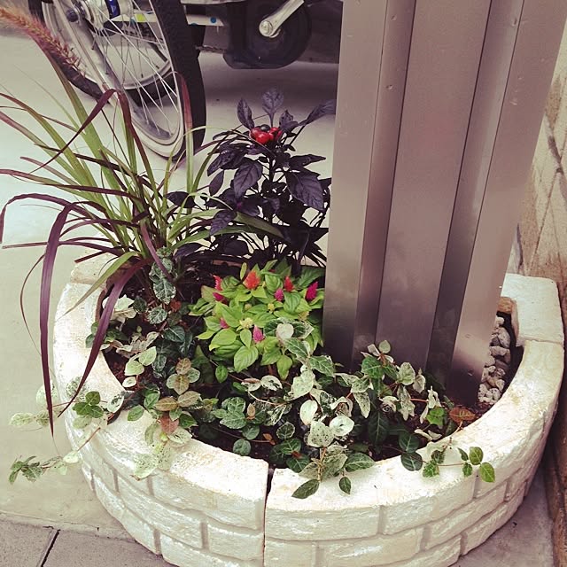 玄関 入り口 Diy 寄せ植え 花壇ブロック ポスト下のインテリア実例 14 08 30 13 34 02 Roomclip ルームクリップ 玄関 入り口 Diy 寄せ植え 花壇ブロック ポスト下のインテリア実例 14 08 30 13 34 02 Roomclip ルームクリップ