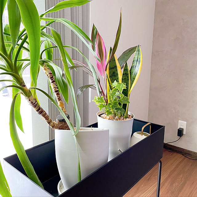 ガーデンラック プランターラック プランタースタンド おしゃれ 長方形 アイアン プランター 屋外 室内 フラワーラック フラワースタンド プランター台 花台 フラワー スタンド プランターボックス 庭 マルチラック インテリア ガーデニング シンプル 花 ホワイト