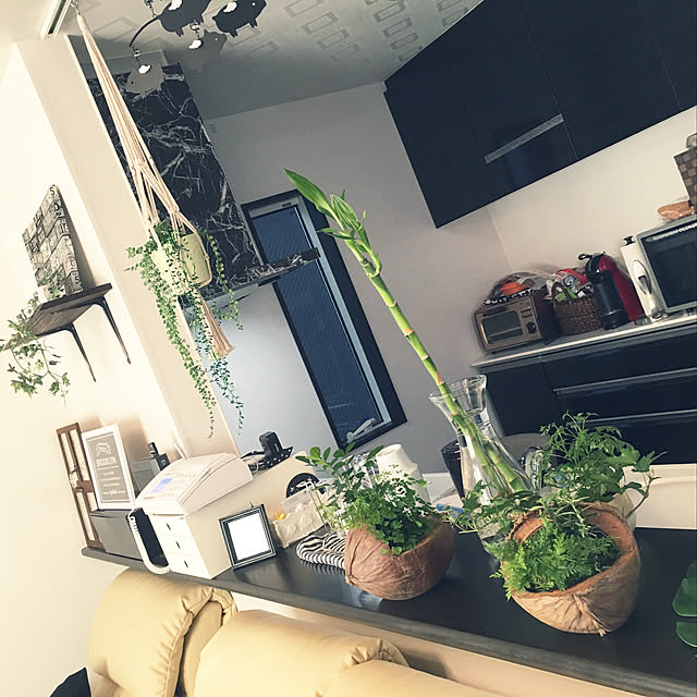 キッチン/観葉植物/IKEA/フェイクグリーン/雑貨のインテリア実例 20180404 195548 ｜ RoomClip（ルーム