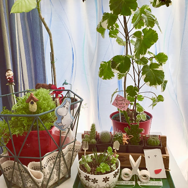 サボテン 寄せ植え スマイルファミリー ペア 多肉植物 ミニサボテン 観葉植物 インテリア オシャレ おしゃれ かわいい プレゼント ギフト 雑貨 母の日 父の日 バレンタイン ホワイトデー クリスマス 結婚祝い 後藤サボテン Goto Saboten のレビュー クチコミ サボテン 寄せ植え スマイルファミリー ペア 多肉植物 ミニサボテン 観葉植物 インテリア オシャレ おしゃれ かわいい プレゼント ギフト 雑貨 母の日 父の日 バレンタイン ホワイトデー クリスマス 結婚祝い 後藤サボテン Goto Saboten のレビュー クチコミ