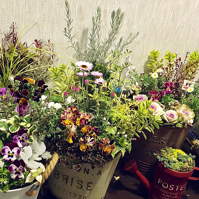 写真付きレビュー 寄せ植えギャザリング メソッド 土を使わない新しい園芸テクニックを完全マスター 青木 英郎 の通販商品 口コミ情報 Roomclipショッピング