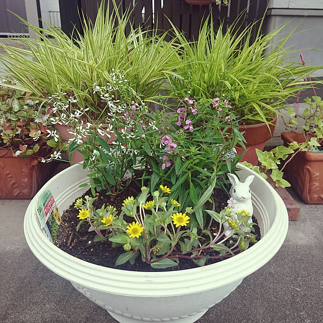 写真付きレビュー フェンス ジオーナ フェンス B4型 マテリアルカラータイプ 高さ800mm 縦格子フェンス フェンスのみ Lixil Toexの通販商品 口コミ情報 Roomclipショッピング 写真付きレビュー フェンス ジオーナ フェンス B4型 マテリアルカラータイプ 高さ800mm 縦格子フェンス フェンスのみ Lixil Toexの通販商品 口コミ情報 Roomclipショッピング