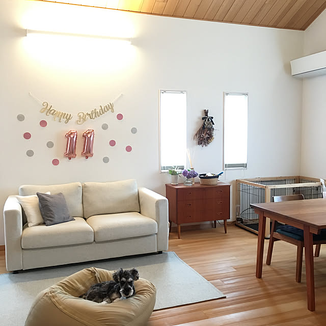 木製 スライドサークル レギュラーサイズ 送料無料 犬 ケージ 犬用 ペット ペット用 伸縮 ハウス サークル ケージ お手入れ簡単 サイズ調整可能 スライドドア 室内犬 ゲート ゲージ リッチェルのレビュー クチコミとして参考になる投稿5枚 Roomclip ルームクリップ