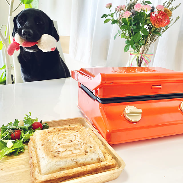 ミッフィー ホットサンドメーカー ブルーノ タイマー 2枚 食パン 厚焼き 肉 ミニケーキ 電器 耳まで焼ける マルチサンドメーカー グリル プレート 洗える キッチン 萌え断 おしゃれ Boe0 Brr ポイント10倍 送料無料 Bruno Miffy グリルサンドメーカー ダブル の