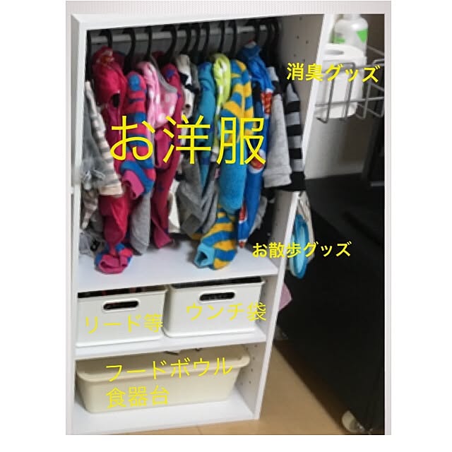 リビング ダイソー 転勤族 多頭飼い ペットインテリア などのインテリア実例 17 02 05 01 30 17 Roomclip ルームクリップ