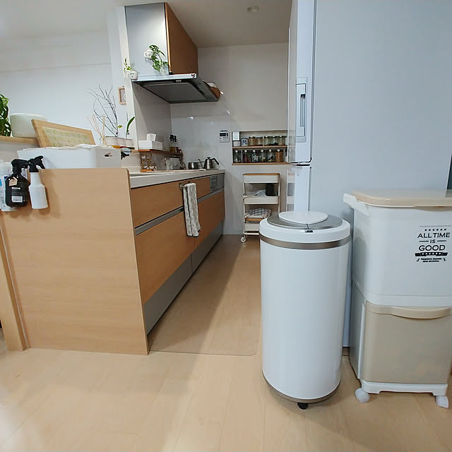 熱販売 ゴミ箱 ジータ ダストボックス 白 ZitA 自動 45L ふた付き おしゃれ - ごみ箱