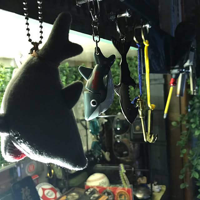 ダイソー サメのまとめページ Roomclip ルームクリップ ダイソー サメのまとめページ Roomclip ルームクリップ