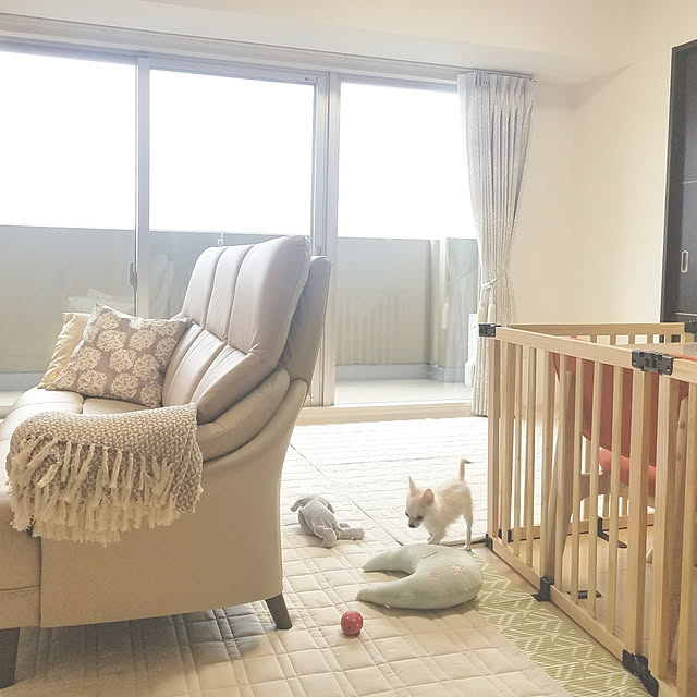 日本育児 木製パーテーション Flex400 W ナチュラル ブラウンのレビュー クチコミとして参考になる投稿5枚 Roomclip Item 日本育児 木製パーテーション Flex400 W ナチュラル ブラウンのレビュー クチコミとして参考になる投稿5枚 Roomclip Item