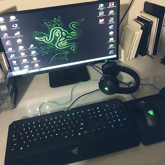 Razer レイザー Razer Deathadder 13 右手用 光学式 ゲーミング マウス 正規保証品 Rz01 R3j1のレビュー 口コミとして参考になる投稿1枚 Roomclip ルームクリップ