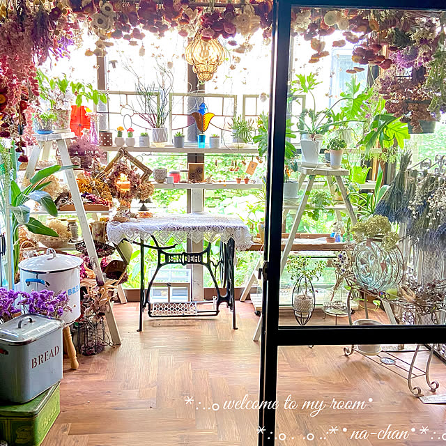写真付きレビュー レモンマートル 茶色 モスポット シリンダー型 テラコッタ シトラール 鉢植えレモンマートルの木 Moss Pot 苗 苗木 レモンマートルハーブティー レモンハーブ 寄せ植 バルコニスト 敬老の日 ポイント消化 観葉植物の通販商品 口コミ情報 Roomclip