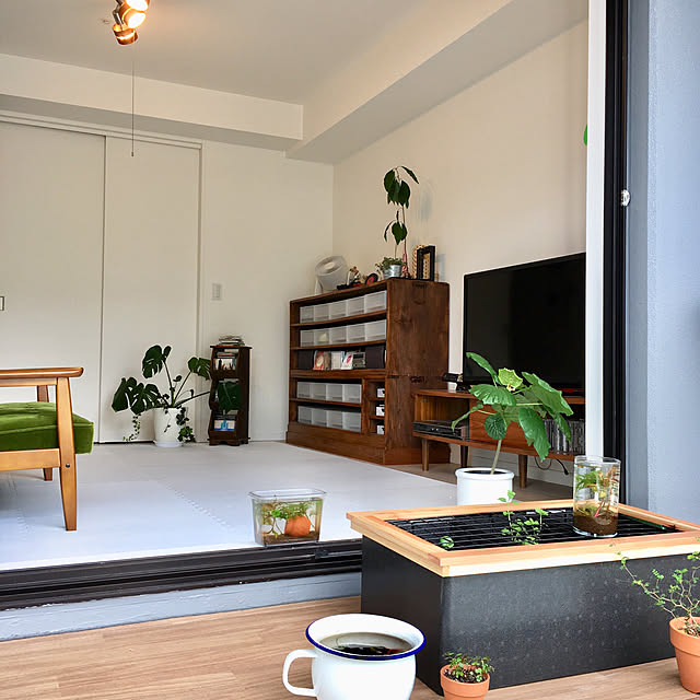 最終決算 メダカの2世帯住宅 3ルーム工作キット 未完成品 木枠 ネット セット お一人様2点限り riosmauricio.com 最終決算 メダカの2世帯住宅 3ルーム工作キット 未完成品 木枠 ネット セット お一人様2点限り riosmauricio.com