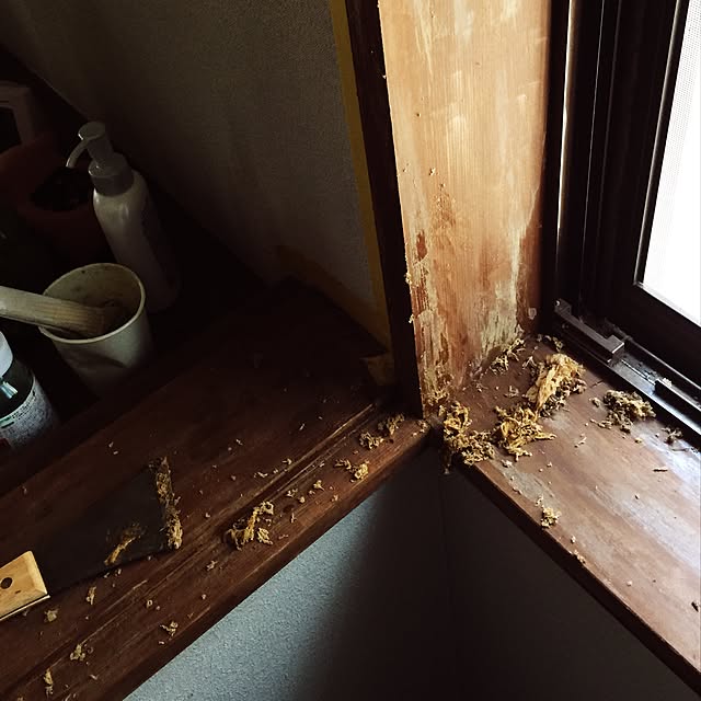 アサヒペン 塗料はがし液 100mlのレビュー クチコミとして参考になる投稿2枚 Roomclip ルームクリップ