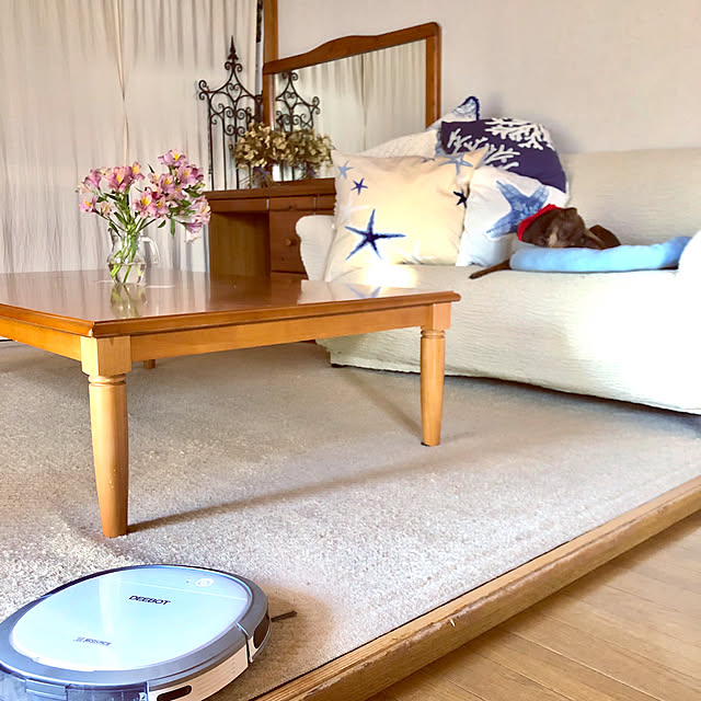 写真付きレビュー ニトリ クッションカバー Sea スターフィッシュ17 玄関先迄納品 の通販商品 口コミ情報 Roomclipショッピング