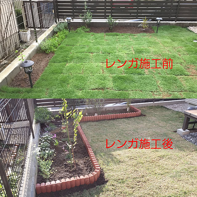 芝生 Tm9 2平米 ティーエムナイン 鹿児島産 高麗芝 手入れが楽 簡単で見た目もキレイな芝生 楽天市場芝生ジャンル連続1位獲得 やっぱり人工芝 より天然芝 ガーデニング Diy 美景観 省管理 少ない肥料 店頭受取対応商品 のレビュー クチコミとして参考になる投稿195枚