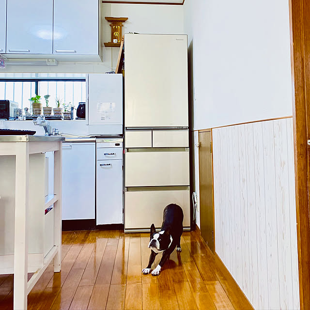 【写真付きレビュー】パナソニック(Panasonic) 5ドア冷蔵庫 エコナビ 【右開き】 426L NRE431GVN（シャンパンゴールド）の通販商品&口コミ情報 RoomClip