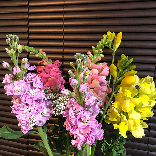 フリージアの花束 フリージア 花束 ご指定でかすみ草も入れられます のレビュー クチコミとして参考になる投稿1枚 Roomclip Item フリージアの花束 フリージア 花束 ご指定でかすみ草も入れられます のレビュー クチコミとして参考になる投稿1枚 Roomclip Item