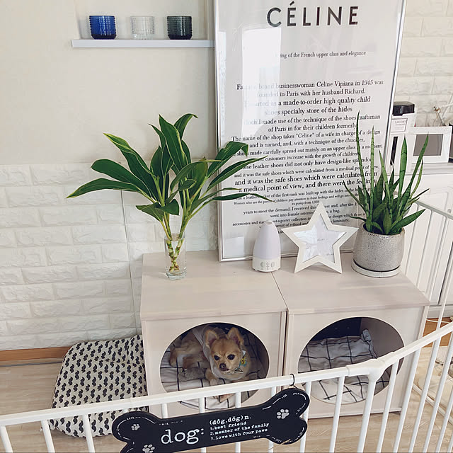 New 木製ペットハウス 犬小屋 ペットベッド 室内用 ドッグハウス おしゃれ ケージ ゲージ 小型犬 中型犬 石崎家具のレビュー クチコミとして参考になる投稿175枚 Roomclip ルームクリップ New 木製ペットハウス 犬小屋 ペットベッド 室内用 ドッグハウス おしゃれ ケージ ゲージ 小型犬 中型犬 石崎家具のレビュー クチコミとして参考になる投稿175枚 Roomclip ルームクリップ