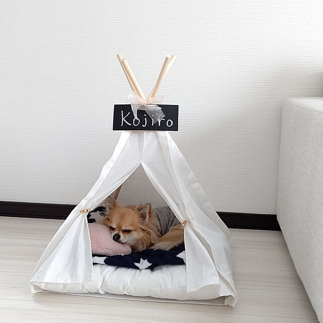 四角スクエア Mサイズ ペットテント ティピーテント 犬 猫テント 室内テント クッションセット ペットハウス 無地 ナチュラルホワイトのレビュー クチコミとして参考になる投稿10枚 Roomclip Item