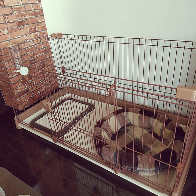 犬 トイレ リッチェル Richell ペット用わくわくシーツトレー レギュラー トイレ用品 トイレトレー トイレシート ペットシーツ 犬のトイレ用品 犬のトイレ 犬用トイレ トイレタリー 犬 トレー I Dog 楽天 あす楽 翌日配送 のレビュー クチコミとして参考に