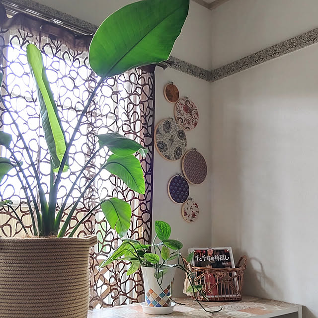 ジュート 麻 鉢カバーf29 H30 5 8号鉢まで対応 B5234観葉植物 モダン ナチュラル インテリアグリーン おしゃれ 人気 引越し祝い 開店祝い 新築祝い 結婚祝い お祝い 観葉植物通販のレビュー クチコミとして参考になる投稿5枚 Roomclip ルームクリップ ジュート 麻 鉢カバーf29 H30 5 8号鉢まで対応 B5234観葉植物 モダン ナチュラル インテリアグリーン おしゃれ 人気 引越し祝い 開店祝い 新築祝い 結婚祝い お祝い 観葉植物通販のレビュー クチコミとして参考になる投稿5枚 Roomclip ルームクリップ