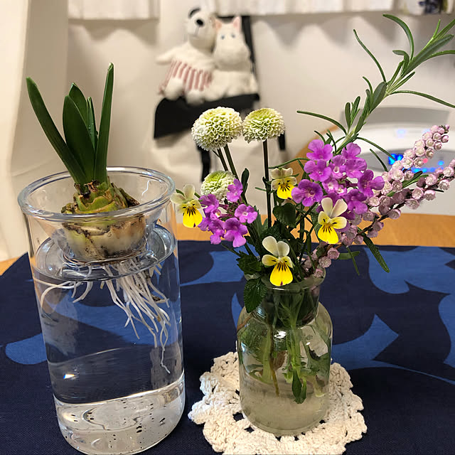 球根の水栽容器や切花の鑑賞に Bulb Vase Long ヒヤシンス水栽培用容器 のレビュー クチコミとして参考になる投稿2枚 Roomclip Item