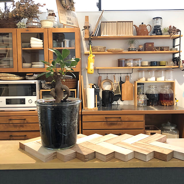 三浦園芸 ハイドロカルチャー用木炭 0 5l 園芸用品 園芸用土のレビュー クチコミとして参考になる投稿2枚 Roomclip ルームクリップ