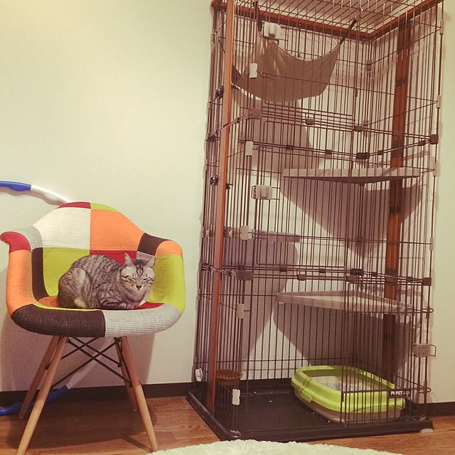 ボンビアルコン Bonbi ウッドワンサークル キャット 3段タイプ 57x 5x117センチメートル X 1 のレビュー クチコミとして参考になる投稿2枚 Roomclip ルームクリップ