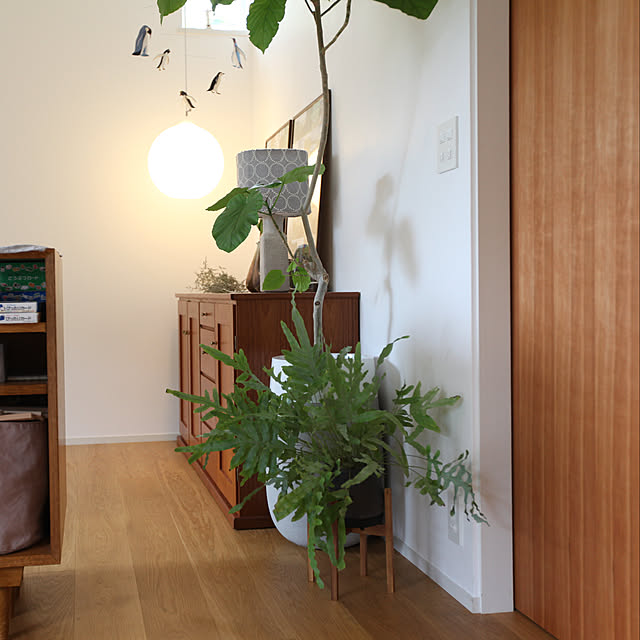 モスポット 730 5号 植木鉢 おしゃれ ラフ 陶器 テラコッタ 素焼き鉢 のレビュー クチコミとして参考になる投稿12枚 Roomclip ルームクリップ