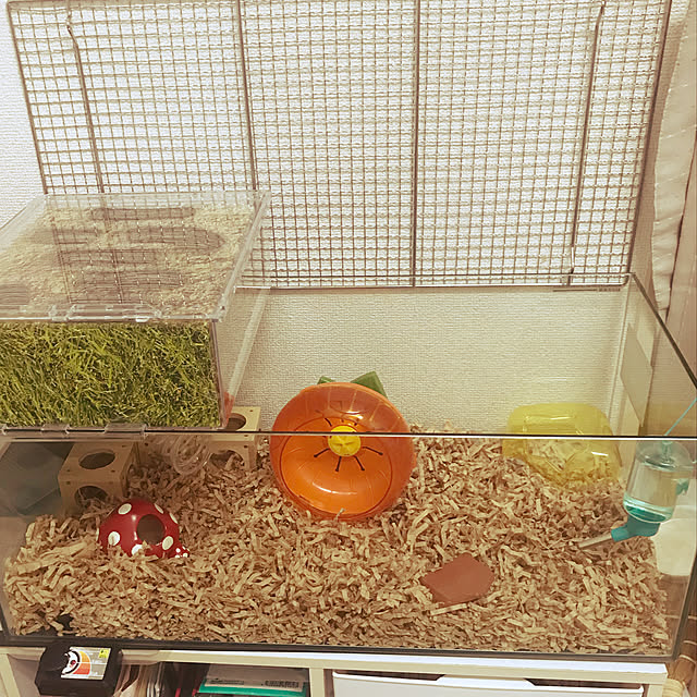 マルカン ミニマルランド くるくるフラワー マルチカラー M サイズのレビュー 口コミとして参考になる投稿5枚