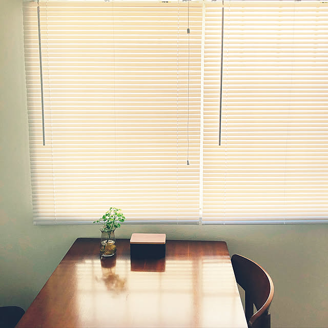 ブラインド プラスチック 既製サイズ 幅180cm 高さ100cm Pvcブラインド カーテンレール 取り付け可能 賃貸 イージーブラインドのレビュー クチコミとして参考になる投稿36枚 Roomclipショッピング