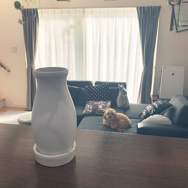 写真付きレビュー トーカ堂 シャープ 加湿空気清浄機 プラズマクラスター 7000 スタンダード 11畳 空気清浄 14畳 ホワイト Kc 30t6 Wの通販商品 口コミ情報 Roomclipショッピング