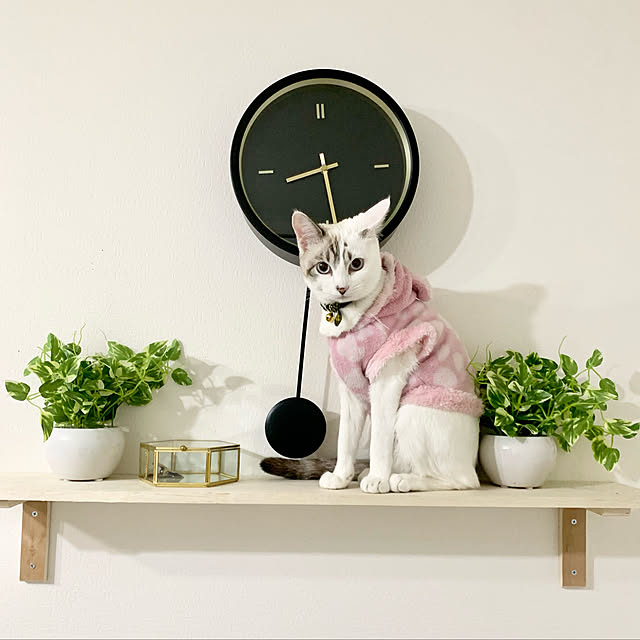 写真付きレビュー Ikea イケア ウォールクロック 時計 ブラック 黒 26cm N Stursk ストゥルスク インテリア 雑貨 壁掛け時計 掛け時計 おしゃれ シンプル 北欧 かわいいの通販商品 口コミ情報 Roomclipショッピング