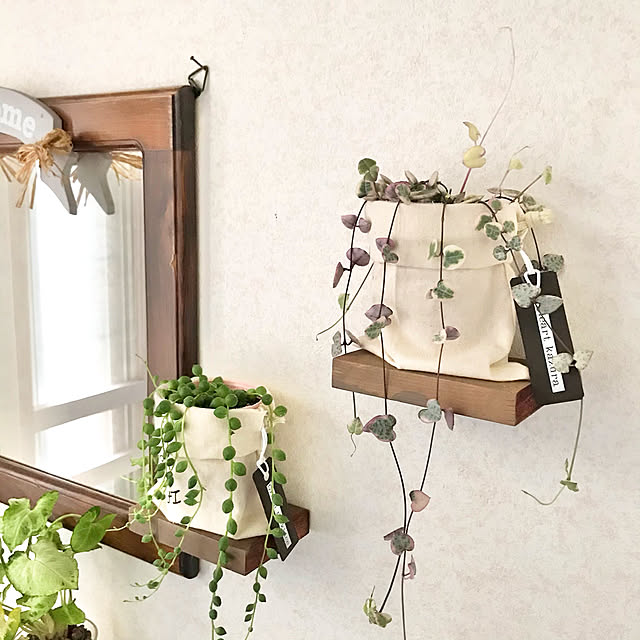 テプラ 子供のいる暮らし 薬箱のまとめページ Roomclip ルームクリップ テプラ 子供のいる暮らし 薬箱のまとめページ Roomclip ルームクリップ