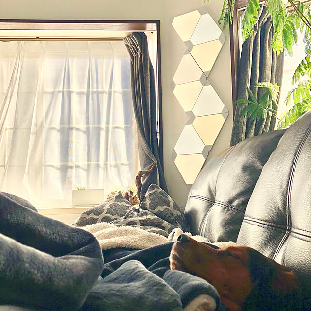 Life Comfort The Ultimate Throw 大判ひざ掛け毛布 152cm 177cm ふわふわブランケット フェイクファー あたたか コストコ ひざかけのレビュー クチコミとして参考になる投稿2枚 Roomclip ルームクリップ