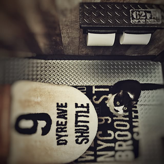 Toto 棚付二連紙巻器 Yh60n Ng2のみ ホワイトグレー納期約2週間 トイレットペーパーホルダー 楽天人気ランキング 入賞 新品 Rcp のレビュー クチコミとして参考になる投稿5枚