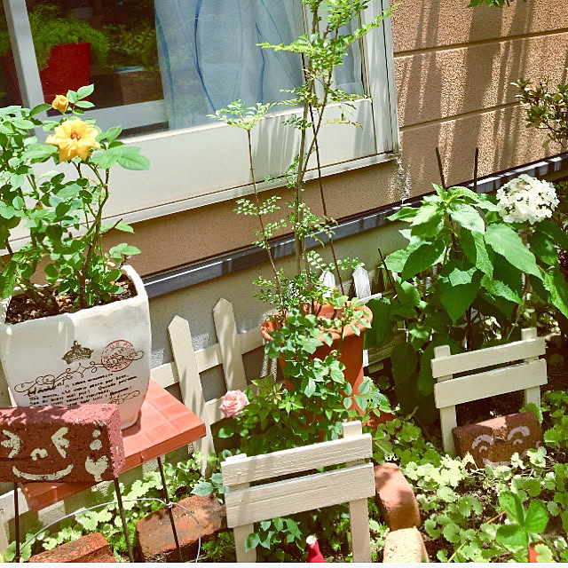 ミニバラ３色とミニ観葉の寄せ植え アートストーン22cm鉢植え のレビュー クチコミとして参考になる投稿7枚 Roomclip ルームクリップ