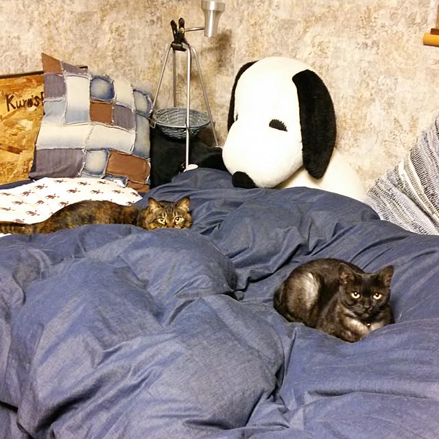 布団カバー 掛け布団カバー Light Denim シングル 西海岸 ヴィンテージ メンズ デニム 綿100 綿 おしゃれ あす楽対応のレビュー クチコミとして参考になる投稿8枚 Roomclip Item