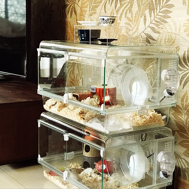 写真付きレビュー】三晃商会 テラコッタトンネル S ハムスター ハウス 素焼き 陶器の通販商品口コミ情報 | RoomClipショッピング 写真付きレビュー】三晃商会 テラコッタトンネル S ハムスター ハウス 素焼き 陶器の通販商品口コミ情報 | RoomClipショッピング