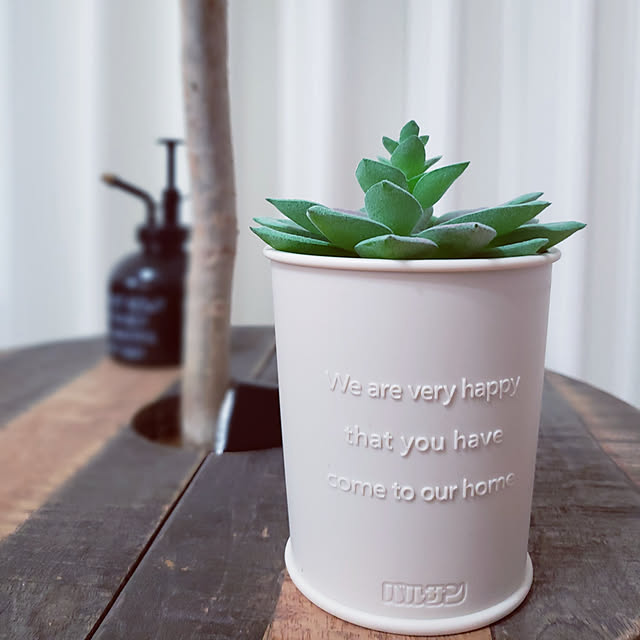 レック バルサン虫こないもん置くだけ プランツ 2日用 予防 防虫 防止 虫 ムシケア 虫ケア 虫よけ 屋外 キャンプ 玄関のレビュー クチコミとして参考になる投稿2枚 Roomclip ルームクリップ