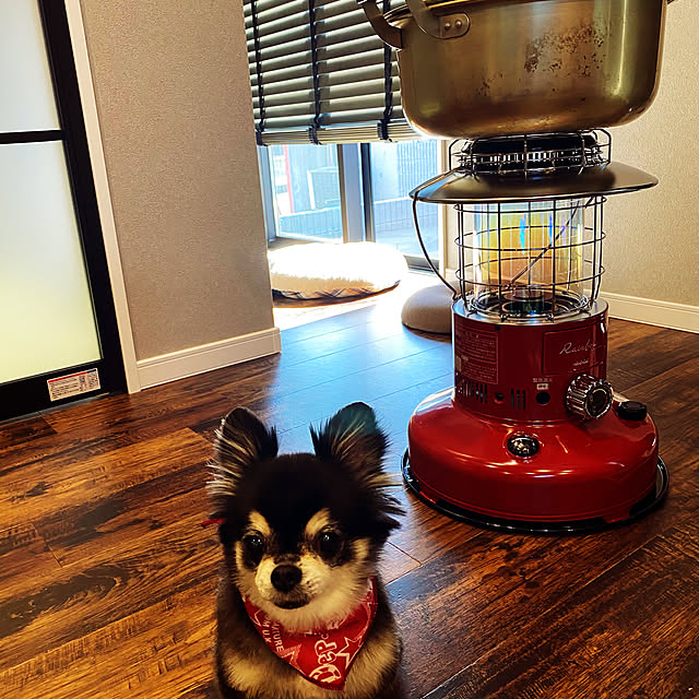 トヨトミ ストーブ 対流型ストーブ Rl 250 R ネット限定品 キャンプ 冬キャン 冬キャンプ テント アウトドア リビング ストーブ 石油 電気不要 屋外 室内 おしゃれ お洒落 かわいい 可愛い レトロ 赤 レッド 灯油 対流 電池式 レインボー 防災 非常