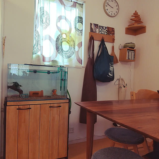 ジェックス ｇｅｘ 水槽台 ６０ｃｍ水槽用組立２段台 ブラック ６０ｃｍ水槽用 キャビネット お一人様２点限りのレビュー 口コミとして参考になる投稿15枚 Roomclip ルームクリップ