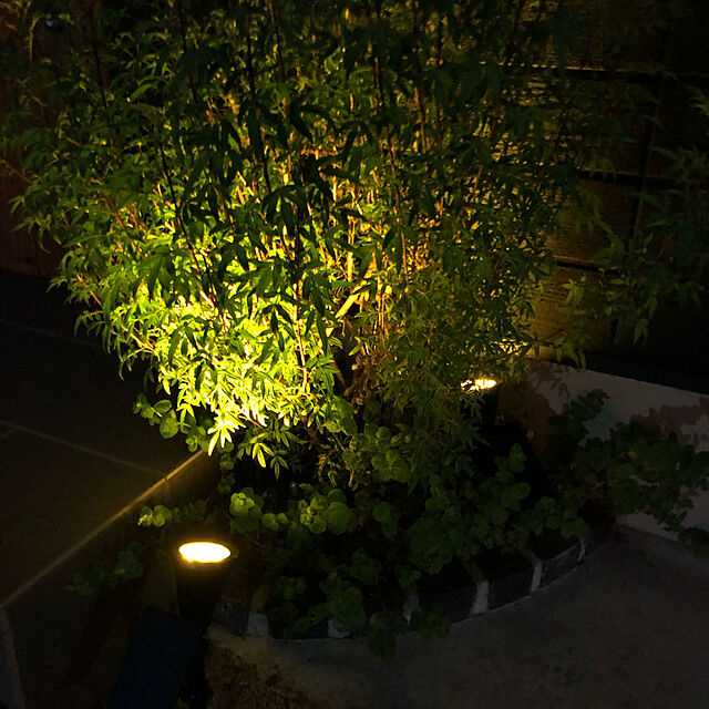写真付きレビュー】ポ10倍 LED ガーデンライト ソーラーライト 屋外 明るさ 自動点灯 7LED 明るい 2色 白色 電球色 挿し込み式 AMC【送料無料】RLS  deaの通販商品口コミ情報 | RoomClipショッピング